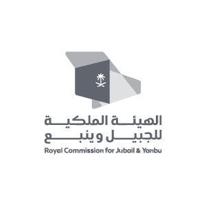 Logo 25